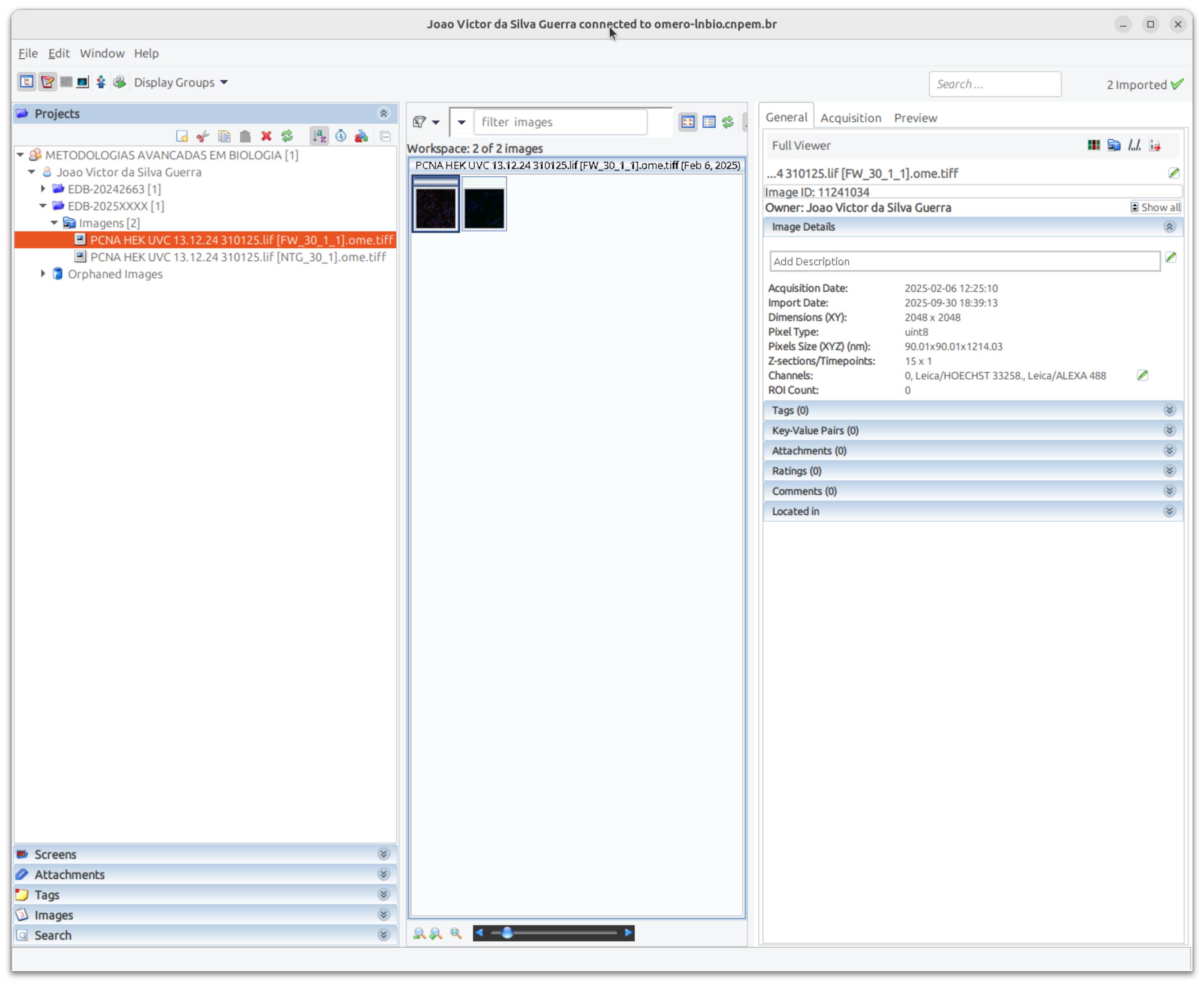 OMERO.insight navigate to project