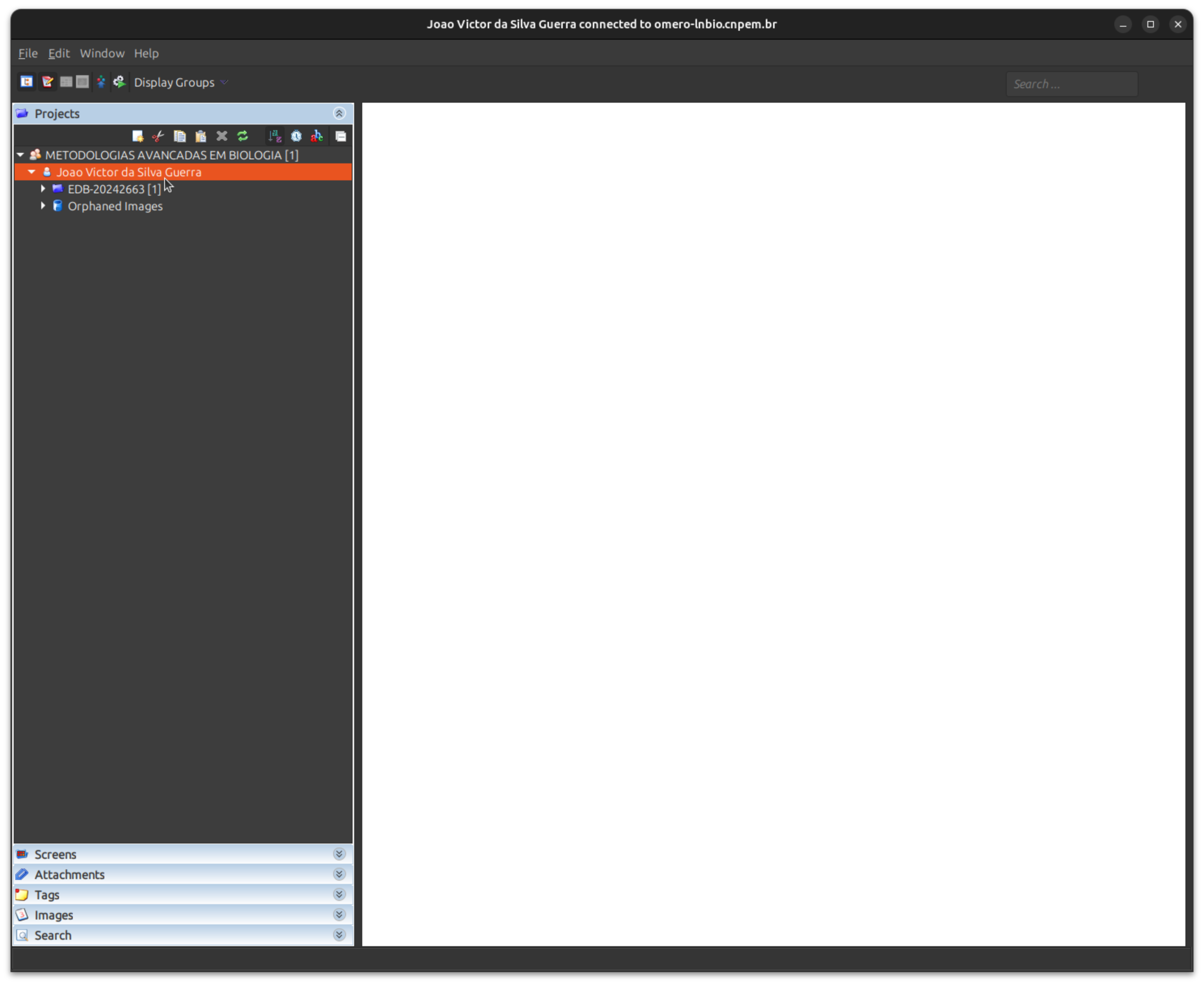 OMERO.insight main interface