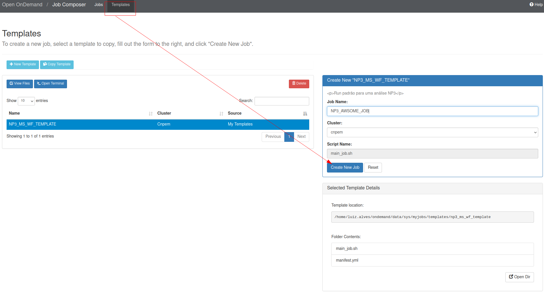 Usando o template para gerar um JOB